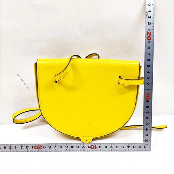LOEWE Yellow Leather Crossbody Bag mon375-101425 - Picture 2 of 16